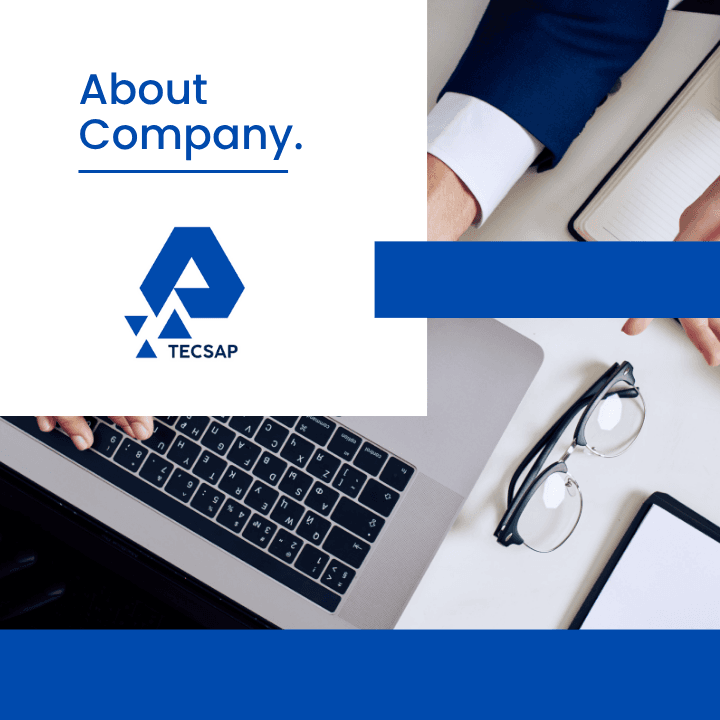 About TecSAP
